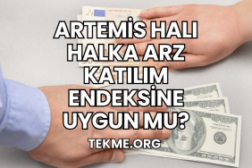 Artemis Halı Halka Arz Katılım Endeksine Uygun mu?