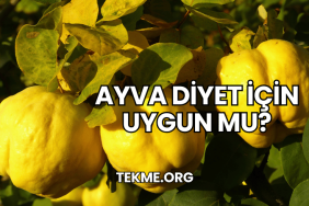Ayva Diyet İçin Uygun mu?