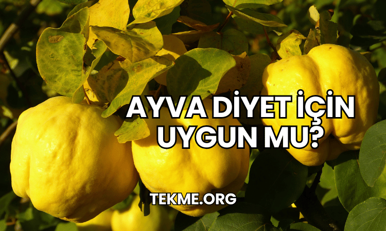 Ayva Diyet İçin Uygun mu?