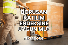 Borusan Katılım Endeksine Uygun mu?