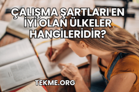 Çalışma Şartları En İyi Olan Ülkeler Hangileridir?