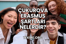 Çukurova Erasmus Şartları Nelerdir?