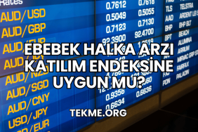 Ebebek Halka Arzı Katılım Endeksine Uygun mu?