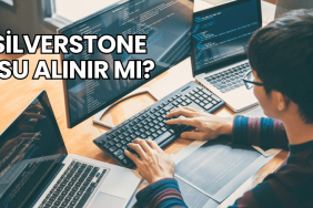 Silverstone PSU Alınır mı?