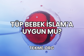 Tüp Bebek İslam’a Uygun mu?