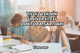 Yıldız Teknik Üniversitesi Doktora Şartları