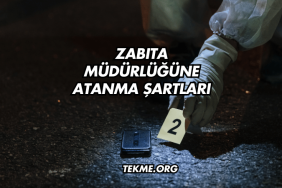 Zabıta Müdürlüğüne Atanma Şartları