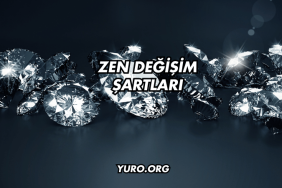 Zen Değişim Şartları