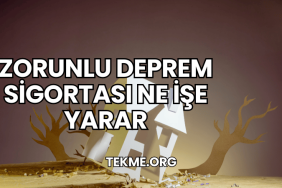 Zorunlu Deprem Sigortası Ne İşe Yarar