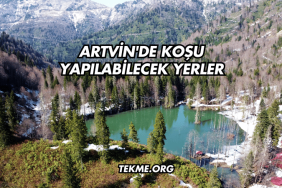 Artvin'de Koşu Yapılabilecek Yerler (2)