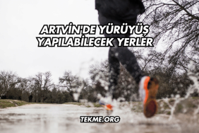 Artvin'de Yürüyüş Yapılabilecek Yerler