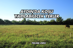 Aydın'da Koşu Yapılabilecek Yerler