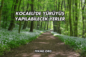 Kocaeli'de Yürüyüş Yapılabilecek Yerler