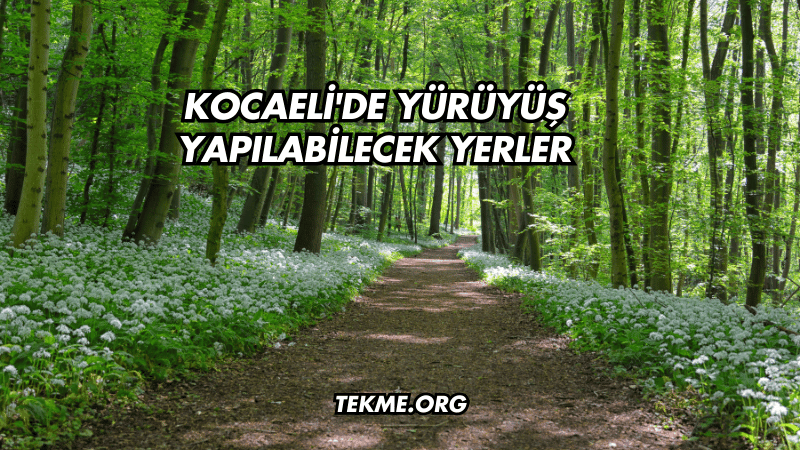 Kocaeli'de Yürüyüş Yapılabilecek Yerler