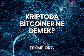 Kriptoda Bitcoiner Ne Demek?