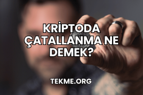 Kriptoda Çatallanma Ne Demek?