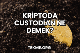 Kriptoda Custodian Ne Demek?