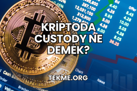 Kriptoda Custody Ne Demek?