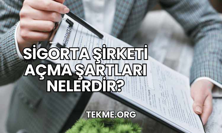 Sigorta Şirketi Açma Şartları Nelerdir?