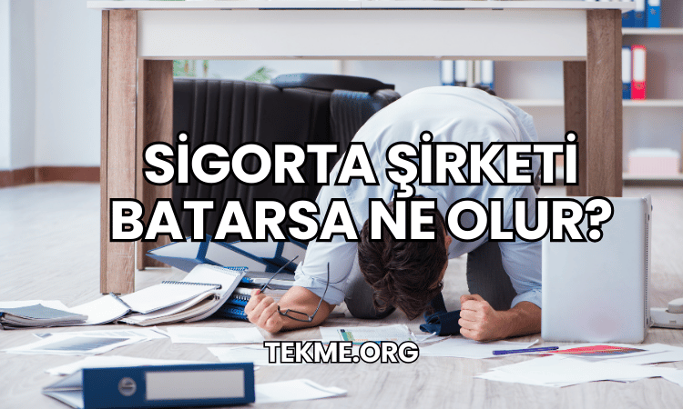 Sigorta Şirketi Batarsa Ne Olur?