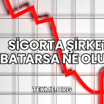 Sigorta Şirketi Batarsa Ne Olur?