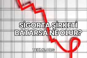 Sigorta Şirketi Batarsa Ne Olur?