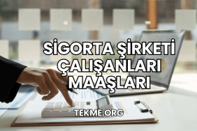 Sigorta Şirketi Çalışanları Maaşları