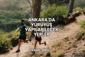 Ankara'da Yürüyüş Yapılabilecek Yerler