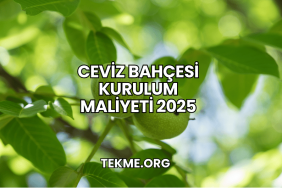 Ceviz Bahçesi Kurulum Maliyeti 2025