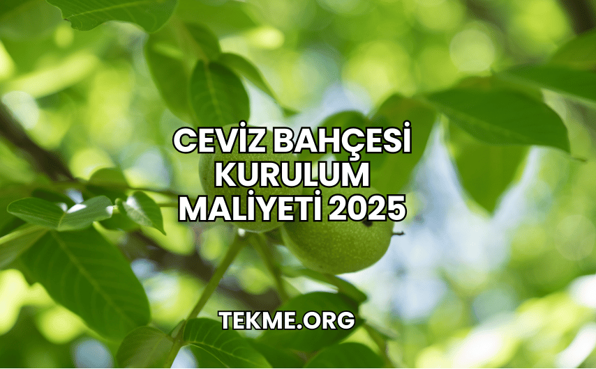 Ceviz Bahçesi Kurulum Maliyeti 2025