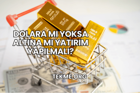 Dolara mı Yoksa Altına mı Yatırım Yapılmalı?