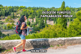 Düzce'de Yürüyüş Yapılabilecek Yerler