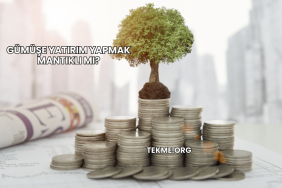Gümüşe Yatırım Yapmak Mantıklı mı?