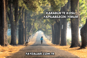 Karabük'te Koşu Yapılabilecek Yerler