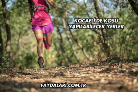 Kocaeli'de Koşu Yapılabilecek Yerler