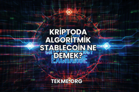 Kriptoda Algoritmik Stablecoin Ne Demek?