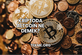 Kriptoda Altcoin Ne Demek?