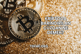 Kriptoda Barındırılan Cüzdan Ne Demek?