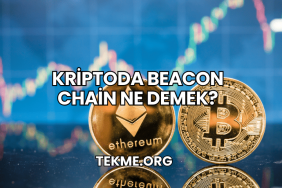 Kriptoda Beacon Chain Ne Demek?