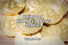 Kriptoda Binance Labs Ne Demek?