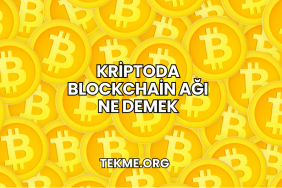 Kriptoda Blockchain Ağı Ne Demek
