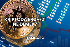 Kriptoda ERC-721 Ne Demek?