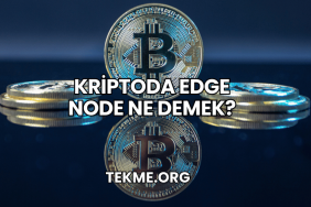 Kriptoda Edge Node Ne Demek?