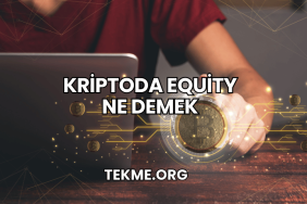 Kriptoda Equity Ne Demek