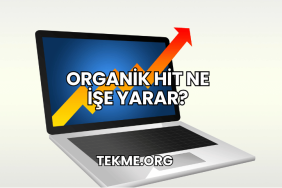 Organik Hit Ne İşe Yarar?