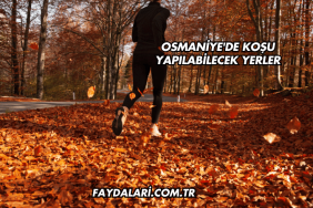 Osmaniye'de Koşu Yapılabilecek Yerler