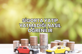 Sigorta Yatıp Yatmadığı Nasıl Öğrenilir