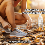 Yalova'da Koşu Yapılabilecek Yerler