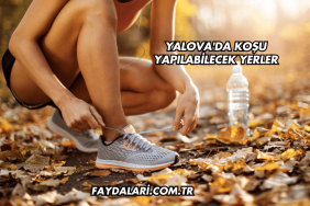 Yalova'da Koşu Yapılabilecek Yerler