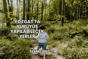 Yozgat'ta Yürüyüş Yapılabilecek Yerler